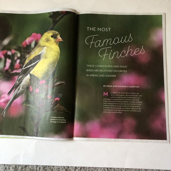 Birds and Blooms Mag March Extra 2023-Finches-Herbs-feeding hacks-ground cover - Picture 8 of 9